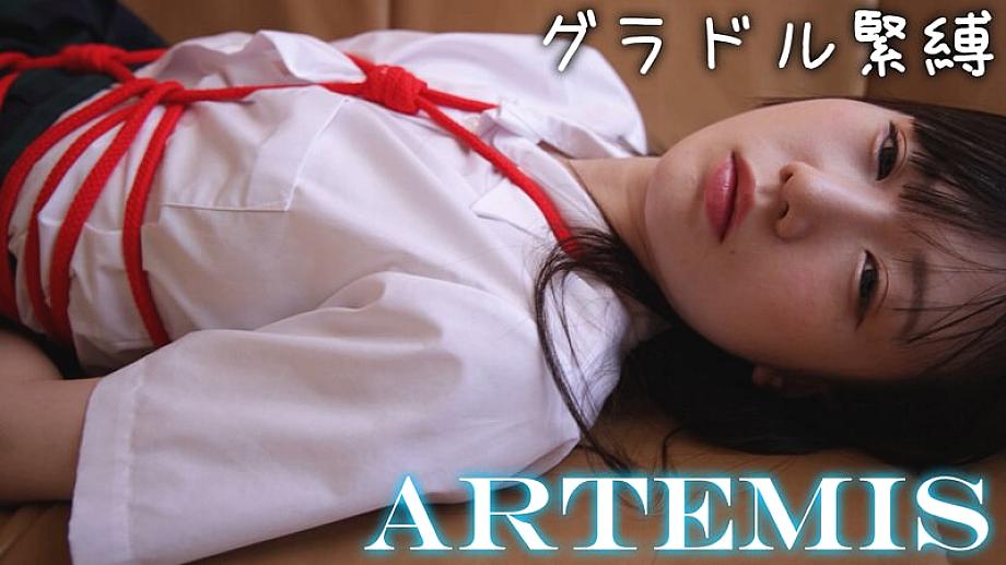ARTMF-022 DVD封面图片 