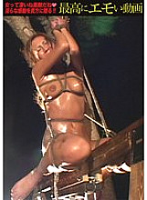 EXTC-024 DVDカバー画像