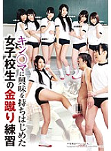 NFDM-370 DVD Cover