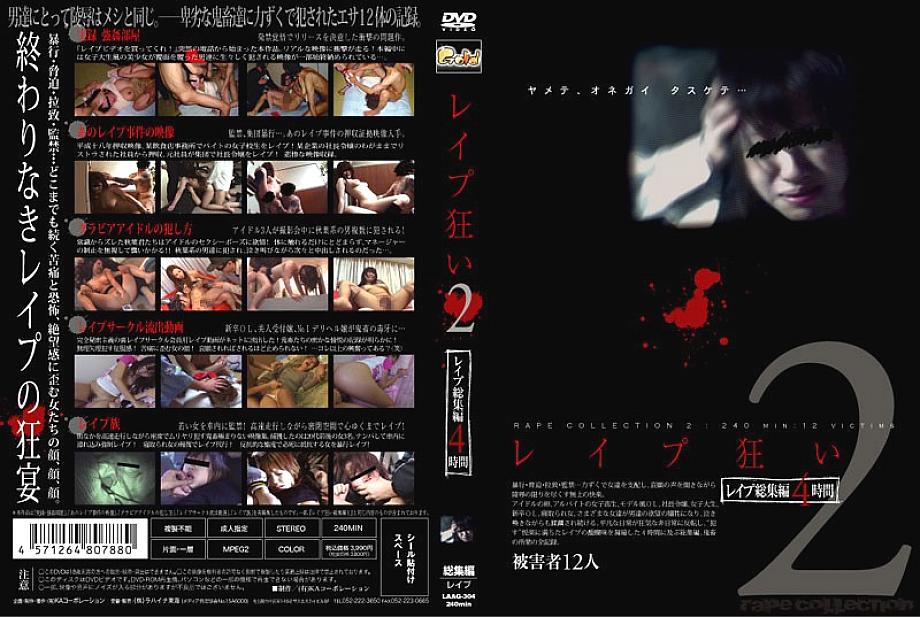 LAAG-304 DVDカバー画像