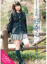 SQTE-027 DVD封面图片 