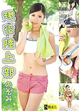SAMA-365 DVD封面图片 