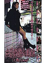SAN-241 Sampul DVD