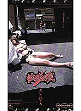 TURB-2043 DVDカバー画像