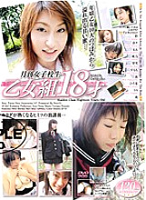 VNDS-2409 DVDカバー画像