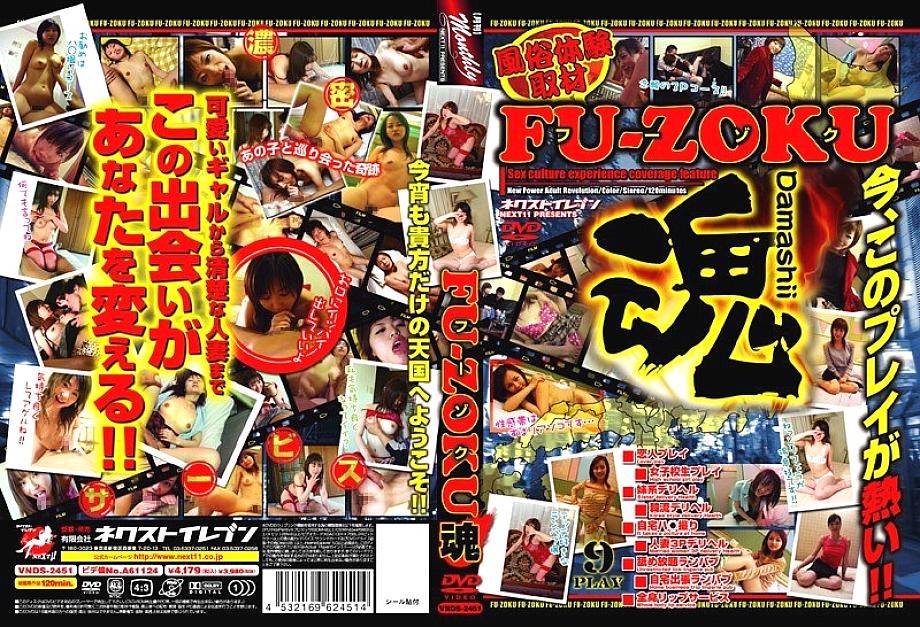 VNDS-2451 DVD封面图片 