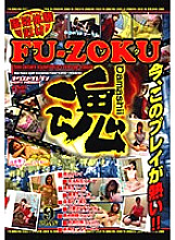 VNDS-2451 DVD封面图片 