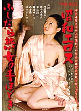VNDS-2954 Sampul DVD