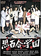 VNDS-3033 DVD Cover