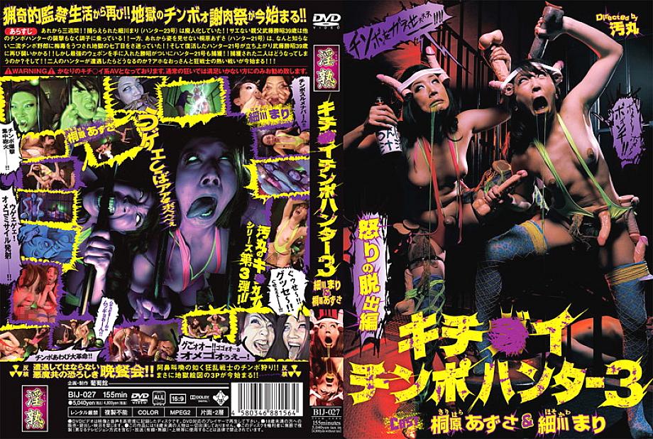 BIJ-027 DVD Cover