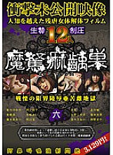 MAX-006 DVDカバー画像