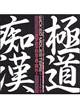 BSDV-060 DVD封面图片 