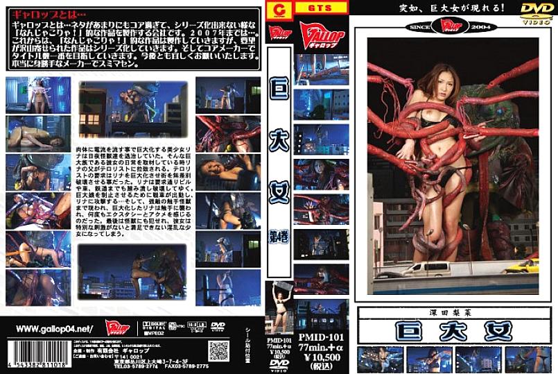 PMID-101 DVD封面图片 