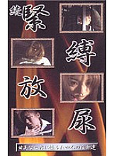 GQI-01 DVDカバー画像