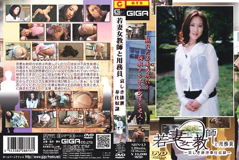 SBN-013 Sampul DVD