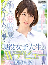 HND-247 DVDカバー画像