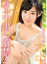 HND-354 DVD封面图片 