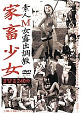 IPKG-001 DVD Cover