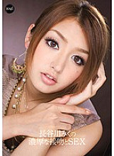 IPZ-026 Sampul DVD