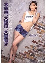 IPZ-413 DVD封面图片 
