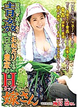 ISD-141 Sampul DVD