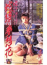 JB-044 DVD封面图片 