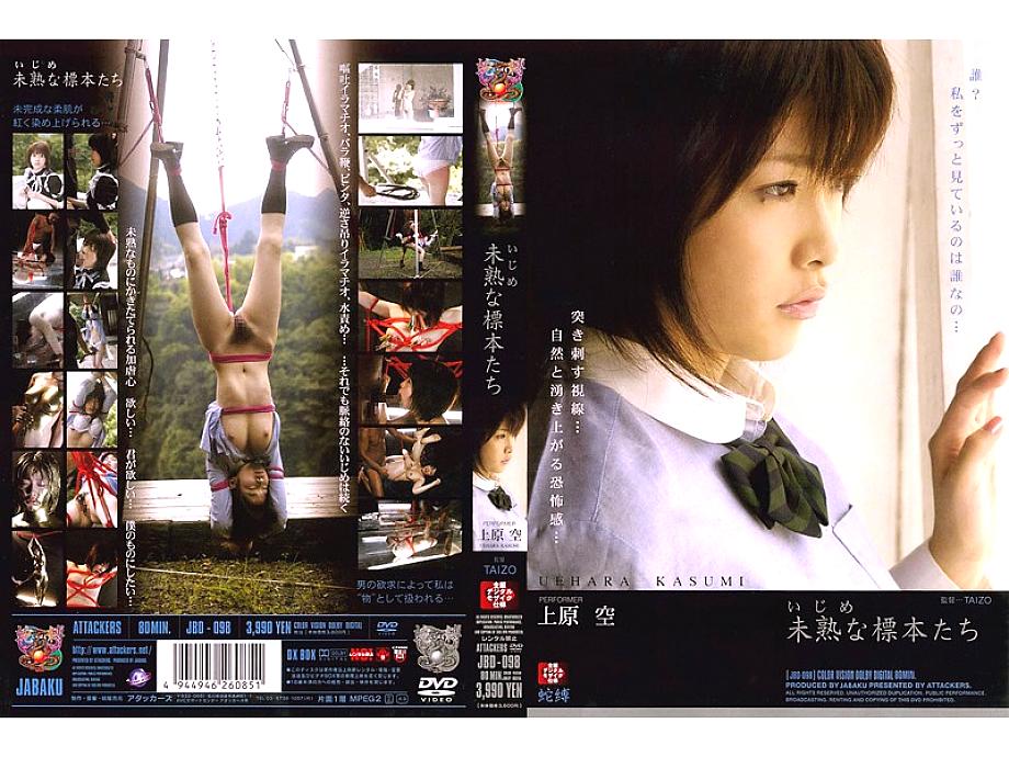JBD-098 Sampul DVD