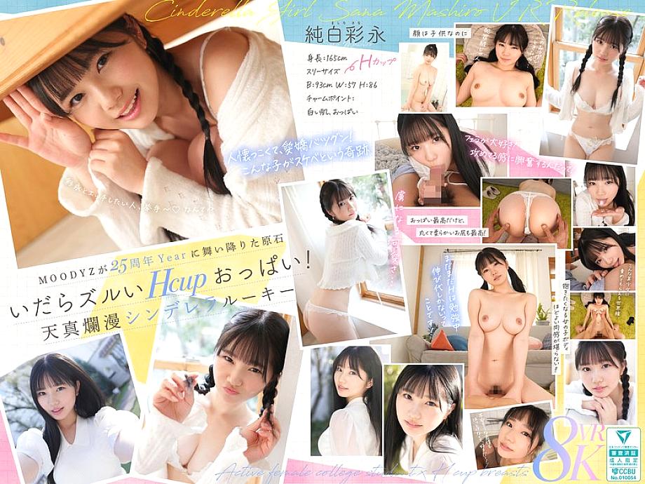 MDVR-365 DVDカバー画像
