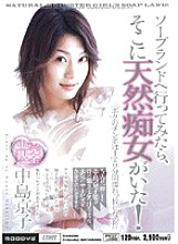 MIID-038 DVD封面图片 