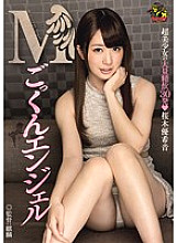 MVSD-251 DVDカバー画像