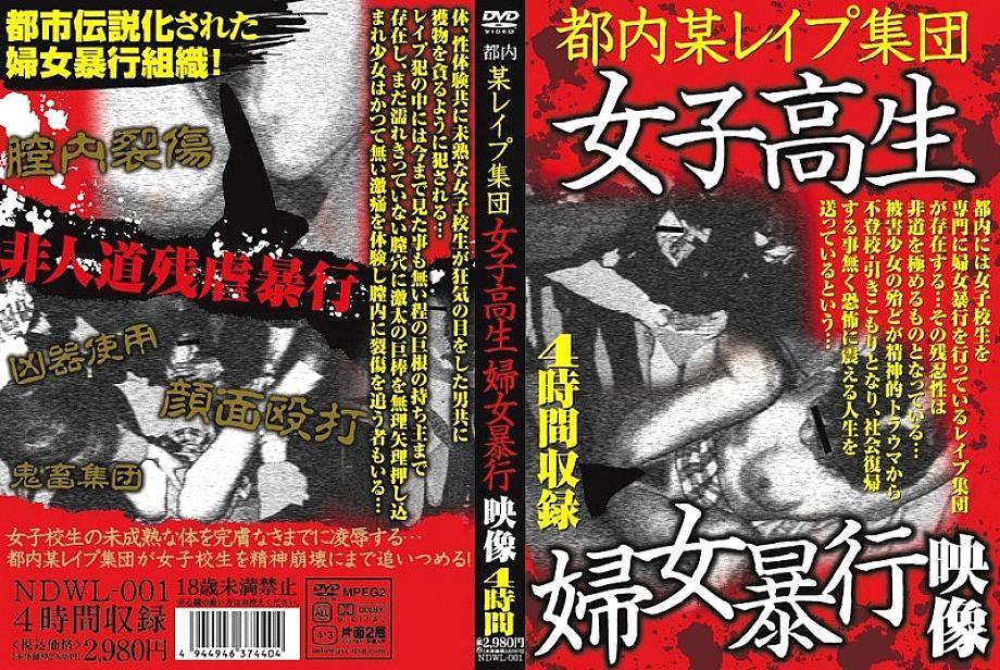 NDWL-001 DVDカバー画像