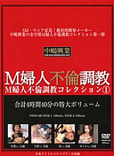 NHSD-008 DVDカバー画像