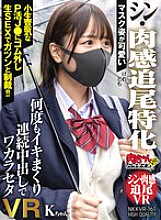 NKKVR-161 DVD Cover