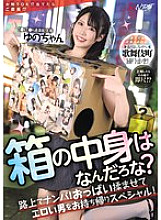 NPJS-255 DVDカバー画像