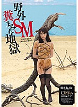 OPUD-155 DVD封面图片 