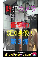 PARAT-376 DVDカバー画像