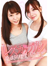PARATHD-04254 DVD封面图片 