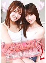 PARATHD-04271 DVD封面图片 