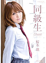 PGD-440 DVD封面图片 
