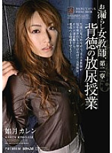 PGD-234 DVD封面图片 