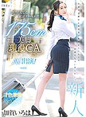PRED-494 DVDカバー画像