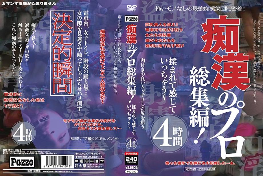 PZO-030 DVD封面图片 