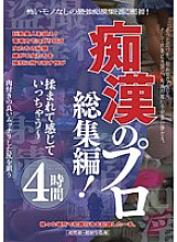 PZO-030 DVD封面图片 