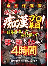 PZO-052 DVD封面图片 