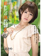RBD-543 DVDカバー画像