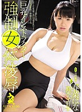 RBD-738 DVDカバー画像