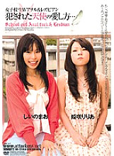 RBD-137 DVDカバー画像