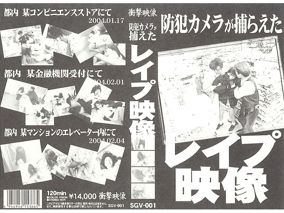 SGV-001 DVDカバー画像
