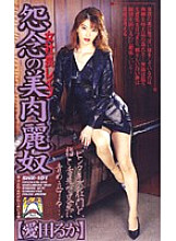 SHK-101 DVD Cover