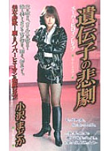 SHK-180 DVD封面图片 